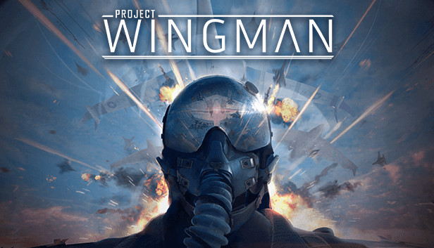 Project Wingman VR game artwork